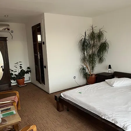 Pensiunea Maria Guest house Sibiu