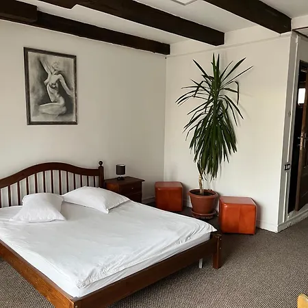 Guest house Pensiunea Maria